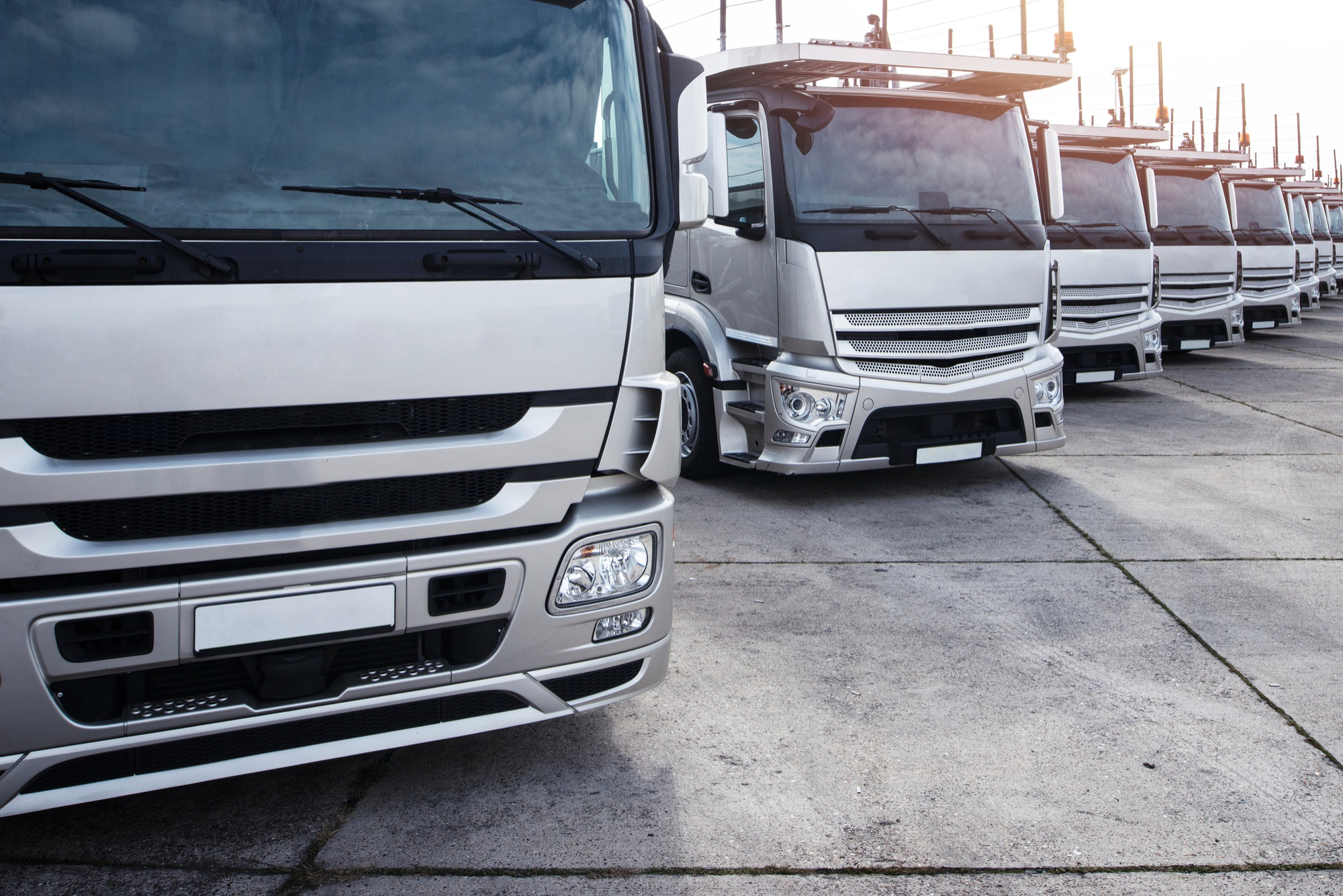 New Trucks Lined up